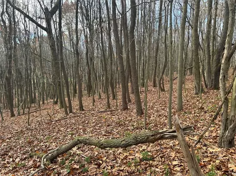 Lot Bullion Road, Polk, PA 16342