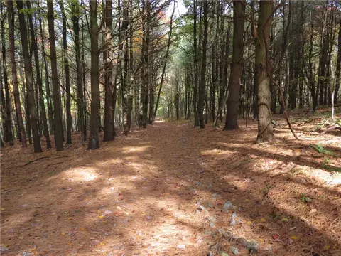 120 Resolution Dr, Mars, PA 16046 photo 39