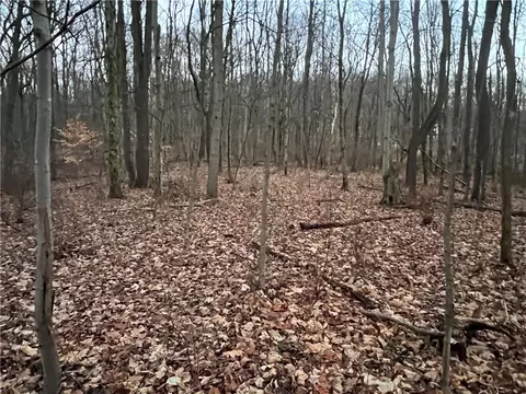 0 Trees Mills Rd, Greensburg, PA 15601