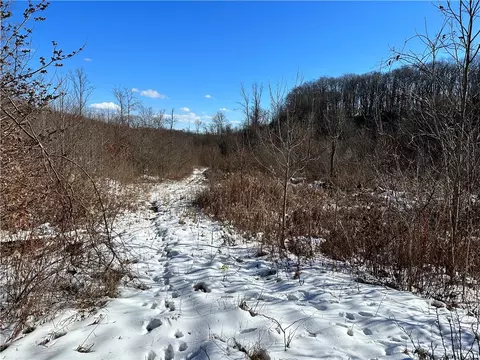 239 Mae West Rd, Confluence, PA 15424