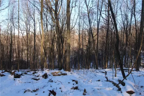 169 Squirrel Road, Evans City, PA 16033
