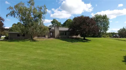 618 Kathy Ln, Export, PA 15632 photo 35