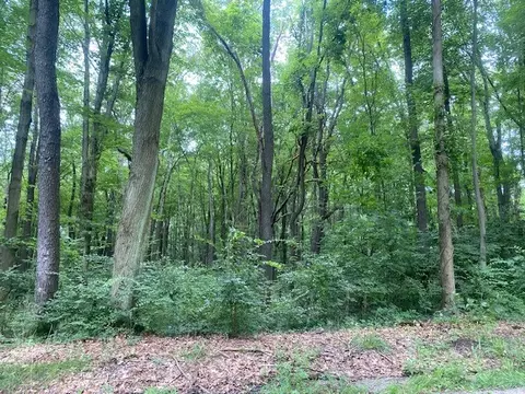 0 Prospect-woodlands Rd, Evans City, PA 16033
