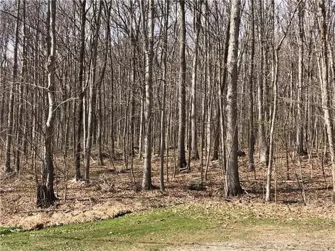0 Nemacolin Dr, Ohiopyle, PA 15470