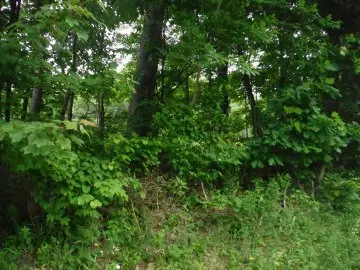 0 Route 259 Hwy, Blairsville, PA 15717