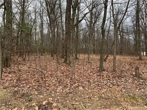 585 Spruce Peak Rd, Acme, PA 15610