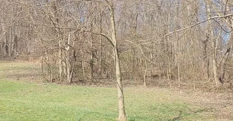 0 Norwood Dr, Beaver Falls, PA 15010