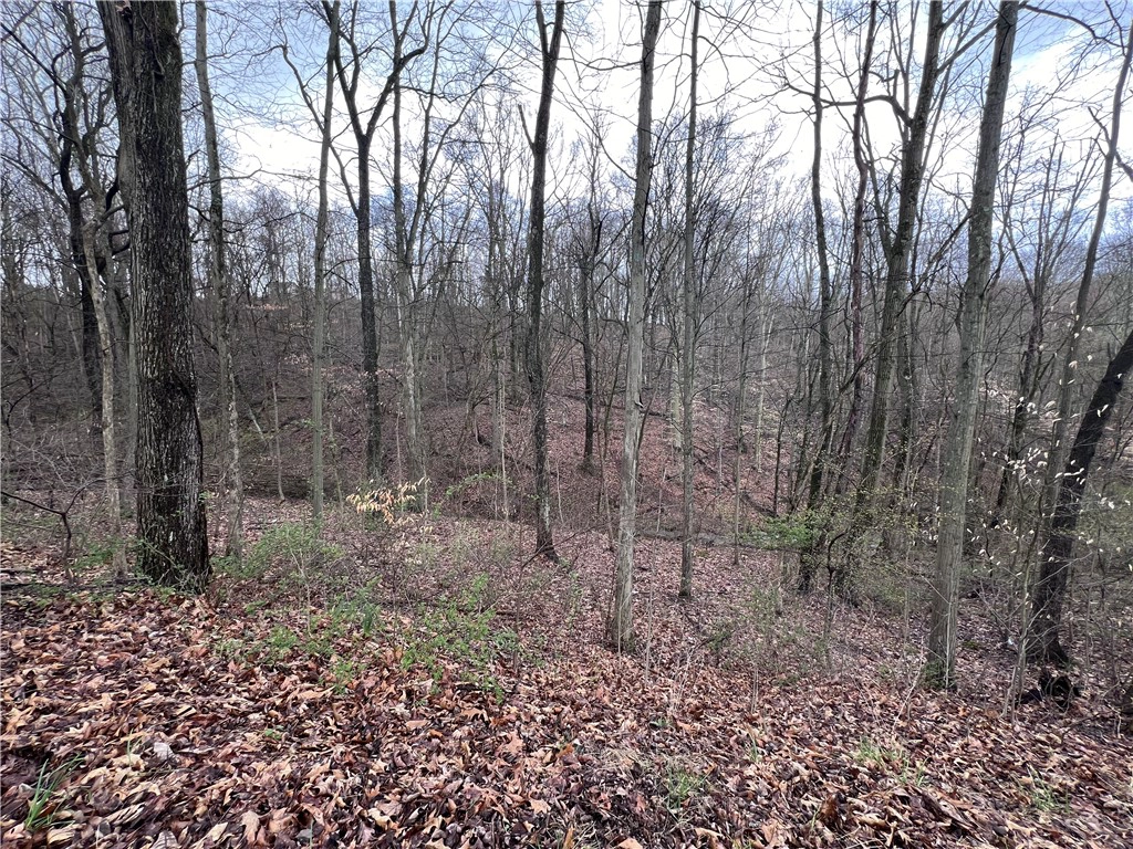 Lot 1 W Lancaster Rd  