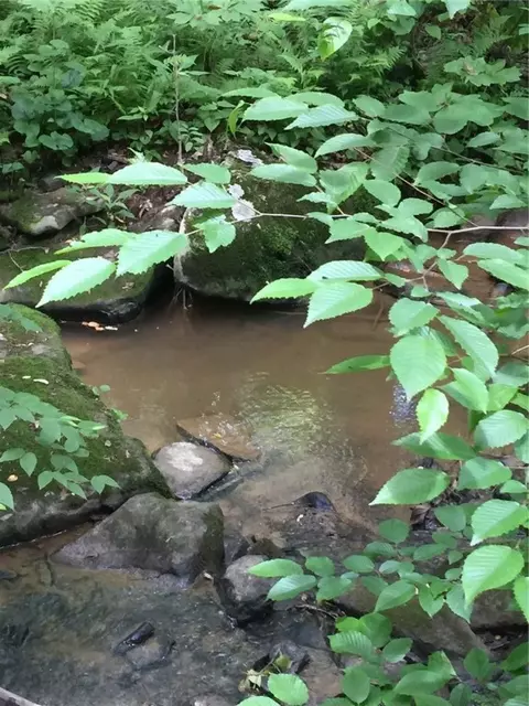 Lot 16 Mountain Laurel Ln, Farmington, PA 15437