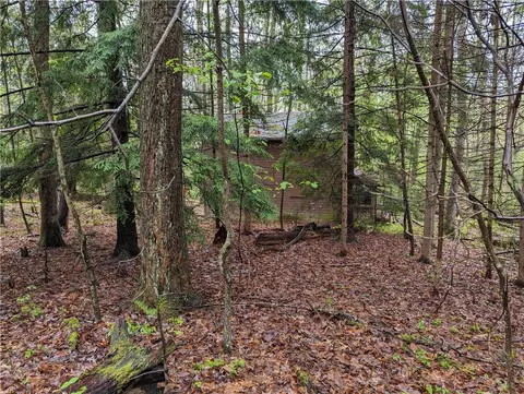 Exterior - 358 Back Rd, Confluence, PA 15424 photo 5 of 14