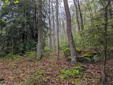 Exterior - 358 Back Rd, Confluence, PA 15424 photo 3 of 14