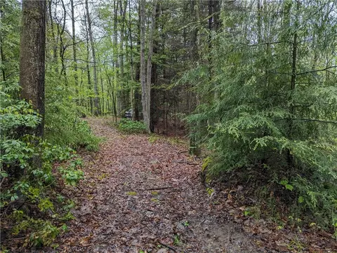 Other - 358 Back Rd, Confluence, PA 15424 photo 1 of 5