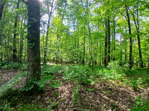 0 Weatherwood Ln, Ligonier, PA 15658