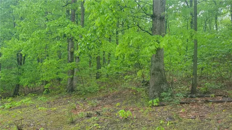 0 Driftwood Ln, James Creek, PA 16657