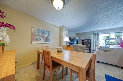 109 Georgetown Ln, Export, PA 15632 photo 11