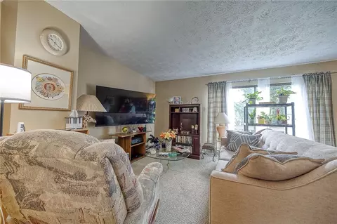 109 Georgetown Ln, Export, PA 15632 photo 14