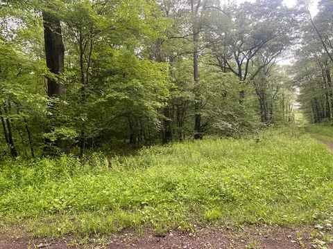 lot180 And 181 Laurel Summit Rd, Boswell, PA 15531