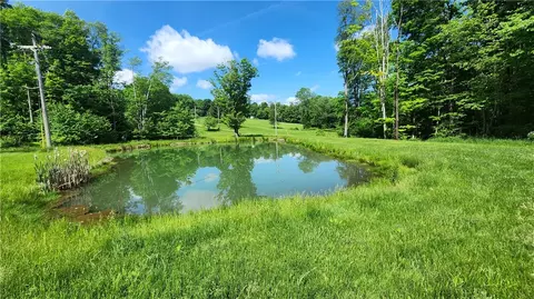 0 Arcadia Rd, Cherry Tree, PA 15724