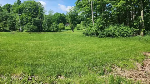 0 Arcadia Rd, Cherry Tree, PA 15724 photo 6