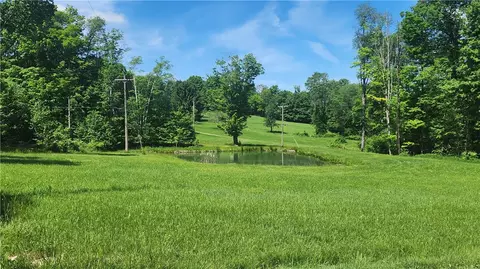 0 Arcadia Rd, Cherry Tree, PA 15724 photo 2