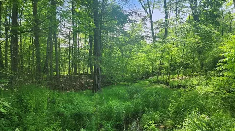 0 Arcadia Rd, Cherry Tree, PA 15724 photo 8