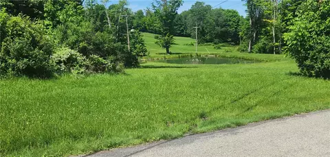 0 Arcadia Rd, Cherry Tree, PA 15724 photo 3