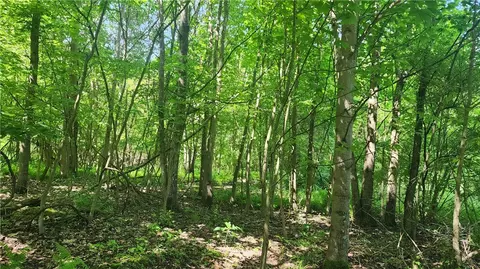 0 Arcadia Rd, Cherry Tree, PA 15724 photo 9
