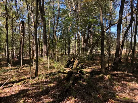 208 Chestnut Ln, Ohiopyle, PA 15470