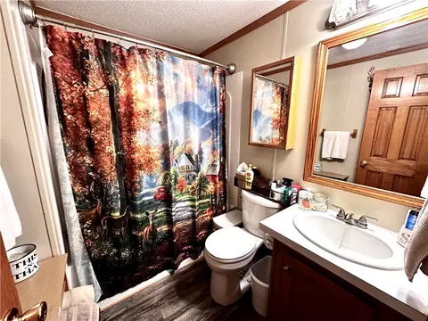 Bath - 103 Braddock Rd, Smithfield, PA 15478 photo 4 of 5