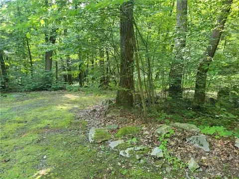 162 Rock Run Rd, Rector, PA 15677 photo 7
