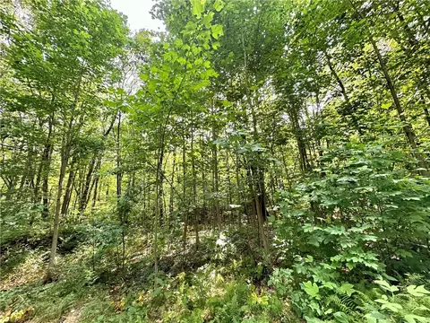 91 Privateroad 6095, Penn Run, PA 15765 photo 9
