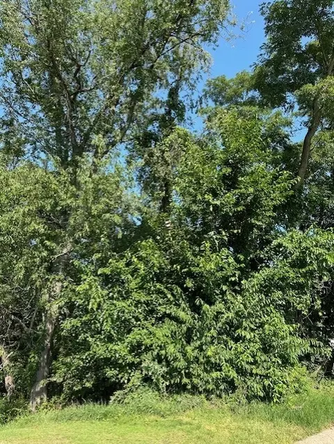 lot S 42 43 Roosevelt St, Conway, PA 15027