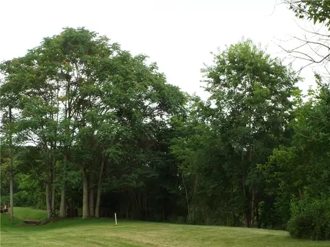 Vacant Madison Ave Lots, Brownsville, PA 15417