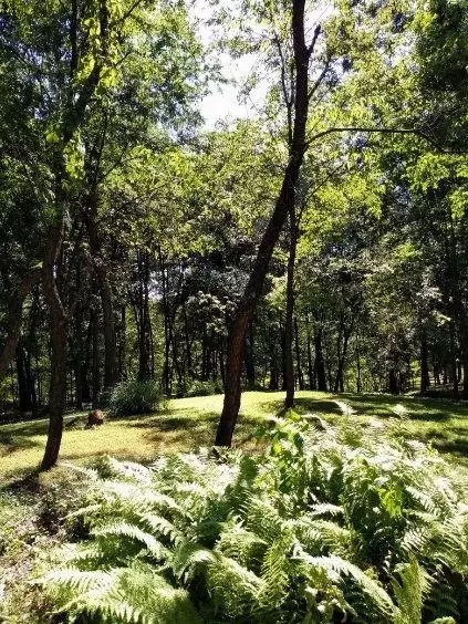 Lot 33-34 Ben Miller, 15044, PA 15044