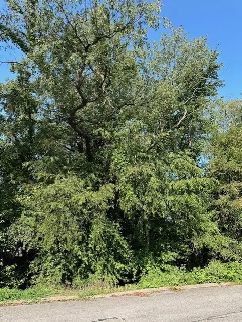 lot S 50-55 Roosevelt St, Conway, PA 15027