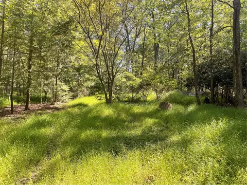 141 Chestnut Ridge Rd, Acme, PA 15610