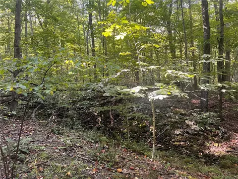 0 Rte 381, Rector, PA 15677 photo 9