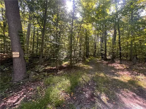 0 Rte 381, Rector, PA 15677