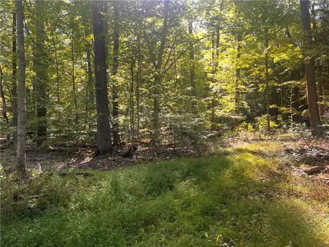 0 Rte 381, Rector, PA 15677 photo 3