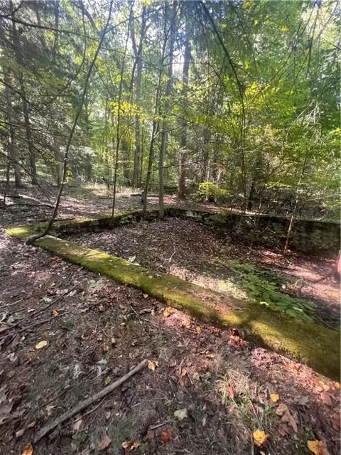 0 Rte 381, Rector, PA 15677 photo 18