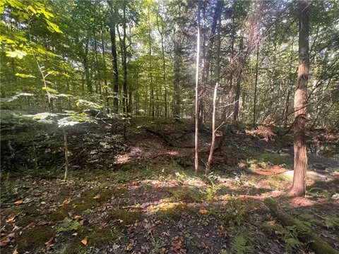0 Rte 381, Rector, PA 15677 photo 8
