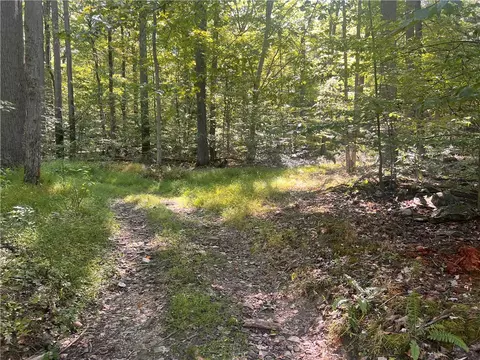 0 Rte 381, Rector, PA 15677 photo 2