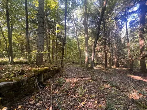 0 Rte 381, Rector, PA 15677 photo 13