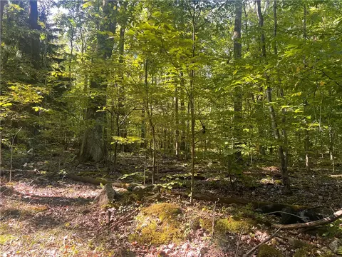 0 Rte 381, Rector, PA 15677 photo 21