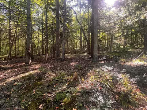 0 Rte 381, Rector, PA 15677 photo 7