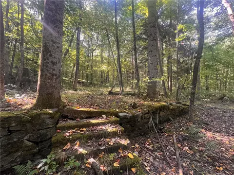 0 Rte 381, Rector, PA 15677 photo 12