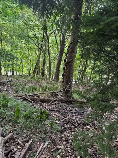 0 Quarry Rd, Sewickley, PA 15143