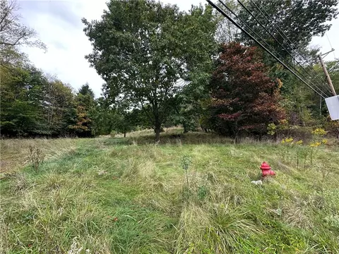 301 Front St, Cherry Tree, PA 15724 photo 3
