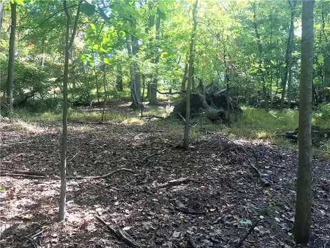0 Low Grade Rd, Cheswick, PA 15024