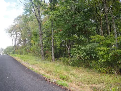 00000 Randolph St Ralston Ave, Lyndora, PA 16045